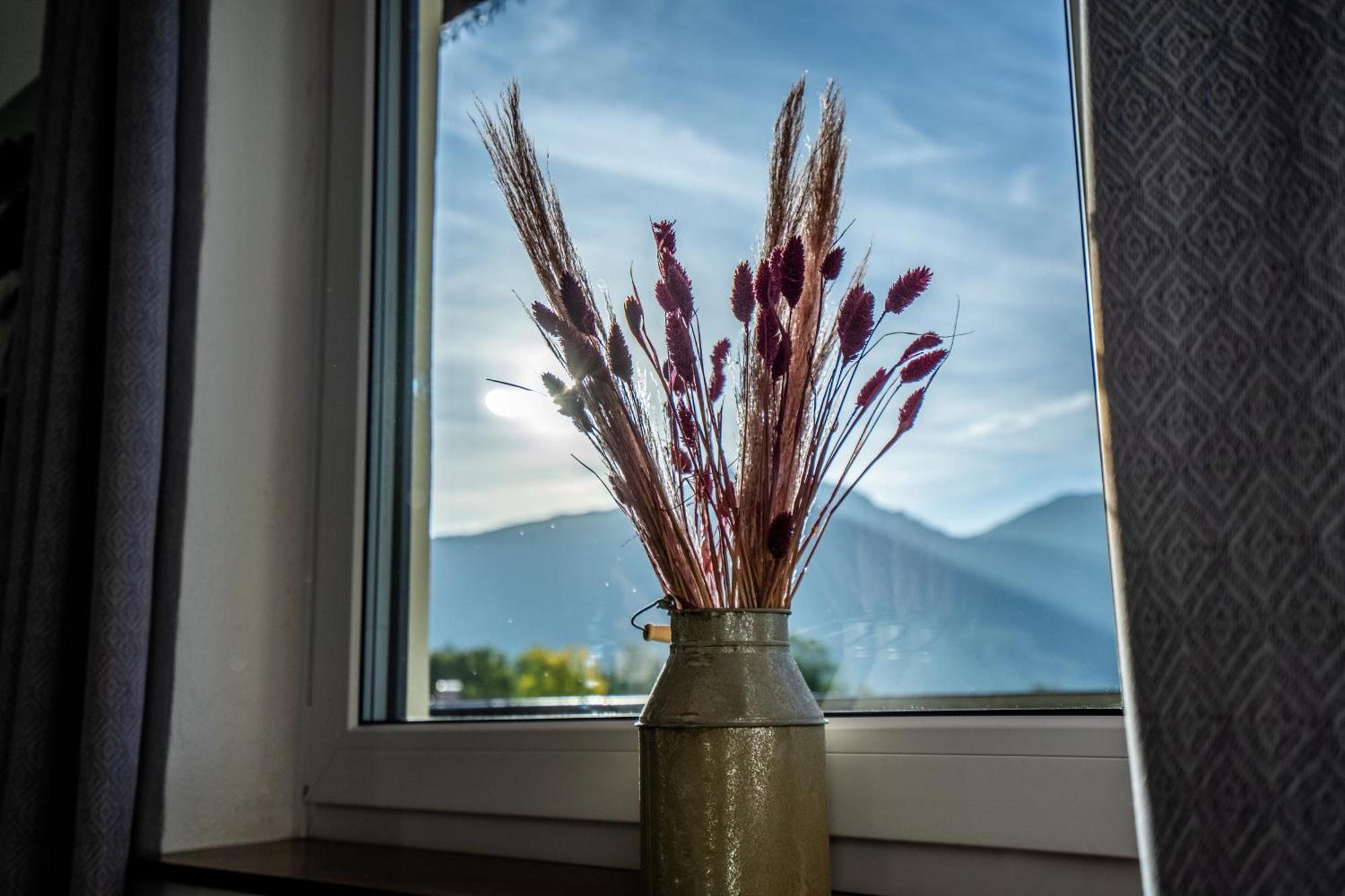 Tiroler Alpblick Appartements Ehrwald Extérieur photo